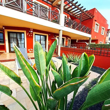 Buen Camino El * Cotillo